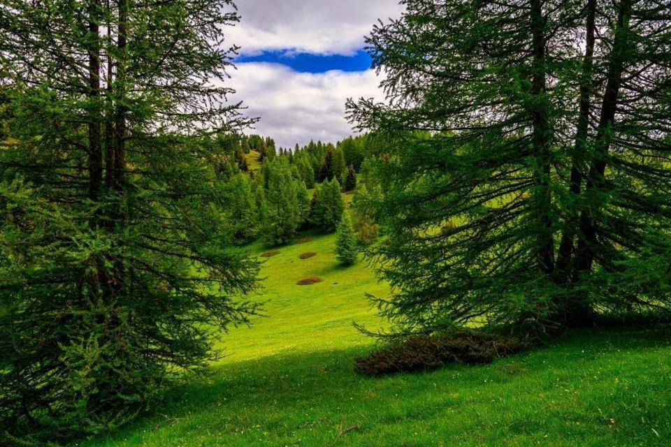 Eco-Hotel Et Yourtes Du Mercantour Guillaumes Εξωτερικό φωτογραφία